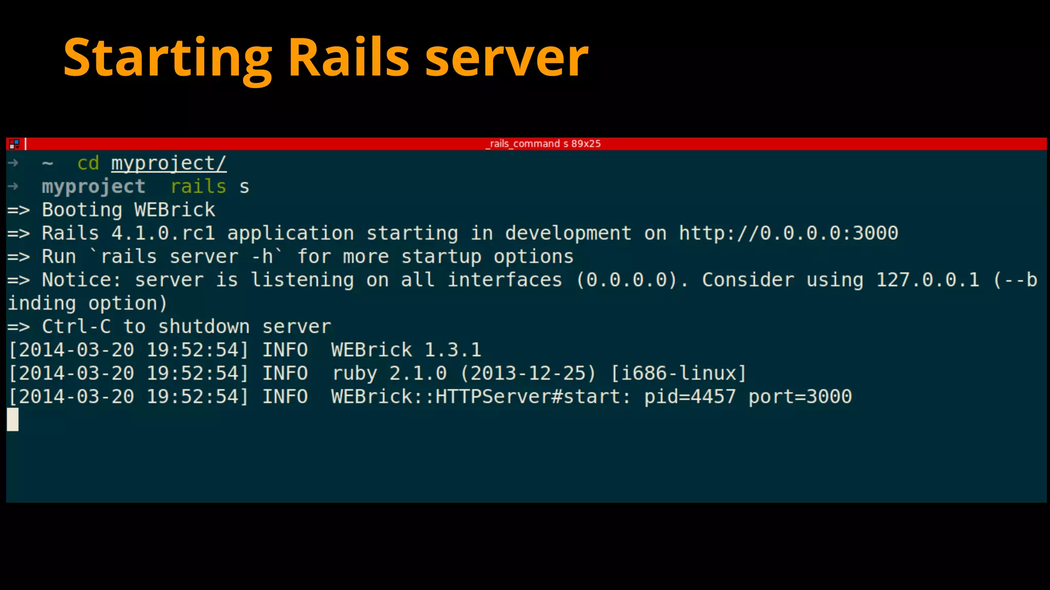 Starting Rails server
 