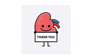 FSGS-Sparsentan.pptx