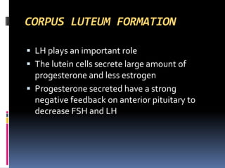 CORPUS LUTEUM FORMATION
 LH plays an important role
 The lutein cells secrete large amount of
progesterone and less estrogen
 Progesterone secreted have a strong
negative feedback on anterior pituitary to
decrease FSH and LH
 