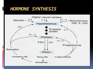 HORMONE SYNTHESIS
 