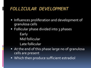 FOLLICULAR DEVELOPMENT
 Influences proliferation and development of
granulosa cells
 Follicular phase divided into 3 phases
Early
Mid follicular
Late follicular
 At the end of this phase large no of granulosa
cells are present
 Which then produce sufficient estradiol
 