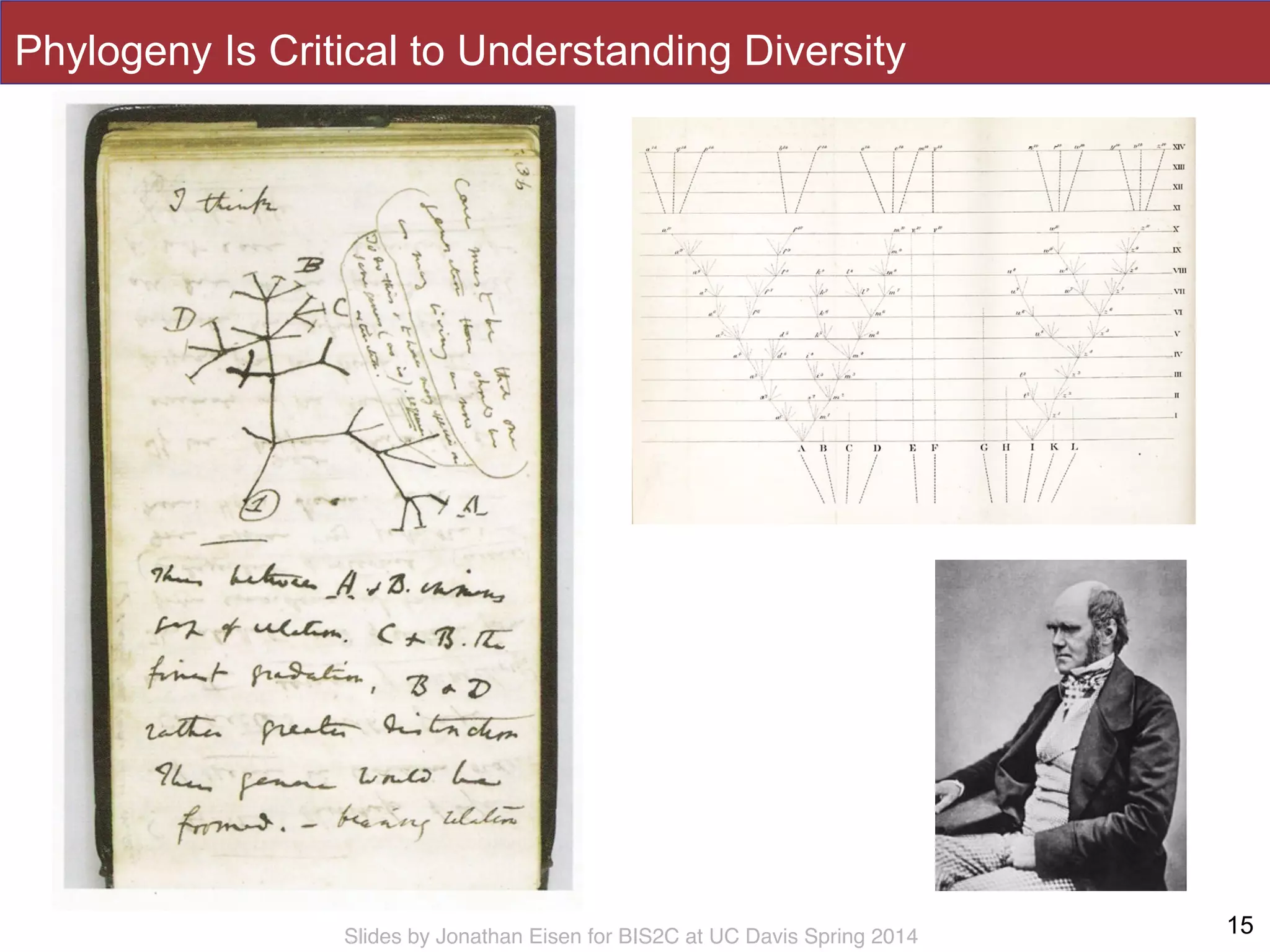 Slides by Jonathan Eisen for BIS2C at UC Davis Spring 2014
Phylogeny Is Critical to Understanding Diversity
15
 
