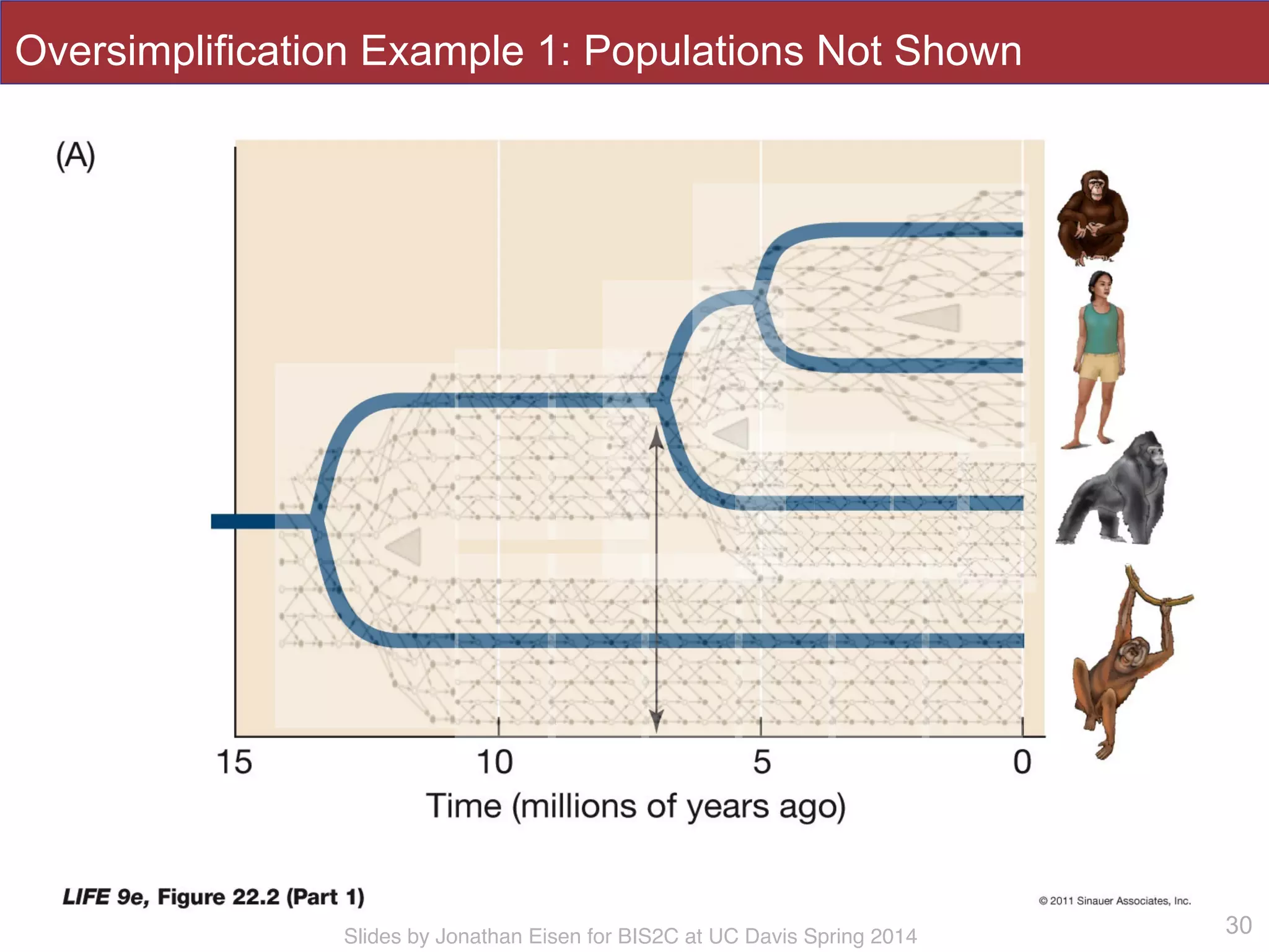 Slides by Jonathan Eisen for BIS2C at UC Davis Spring 2014 30
Oversimplification Example 1: Populations Not Shown
 
