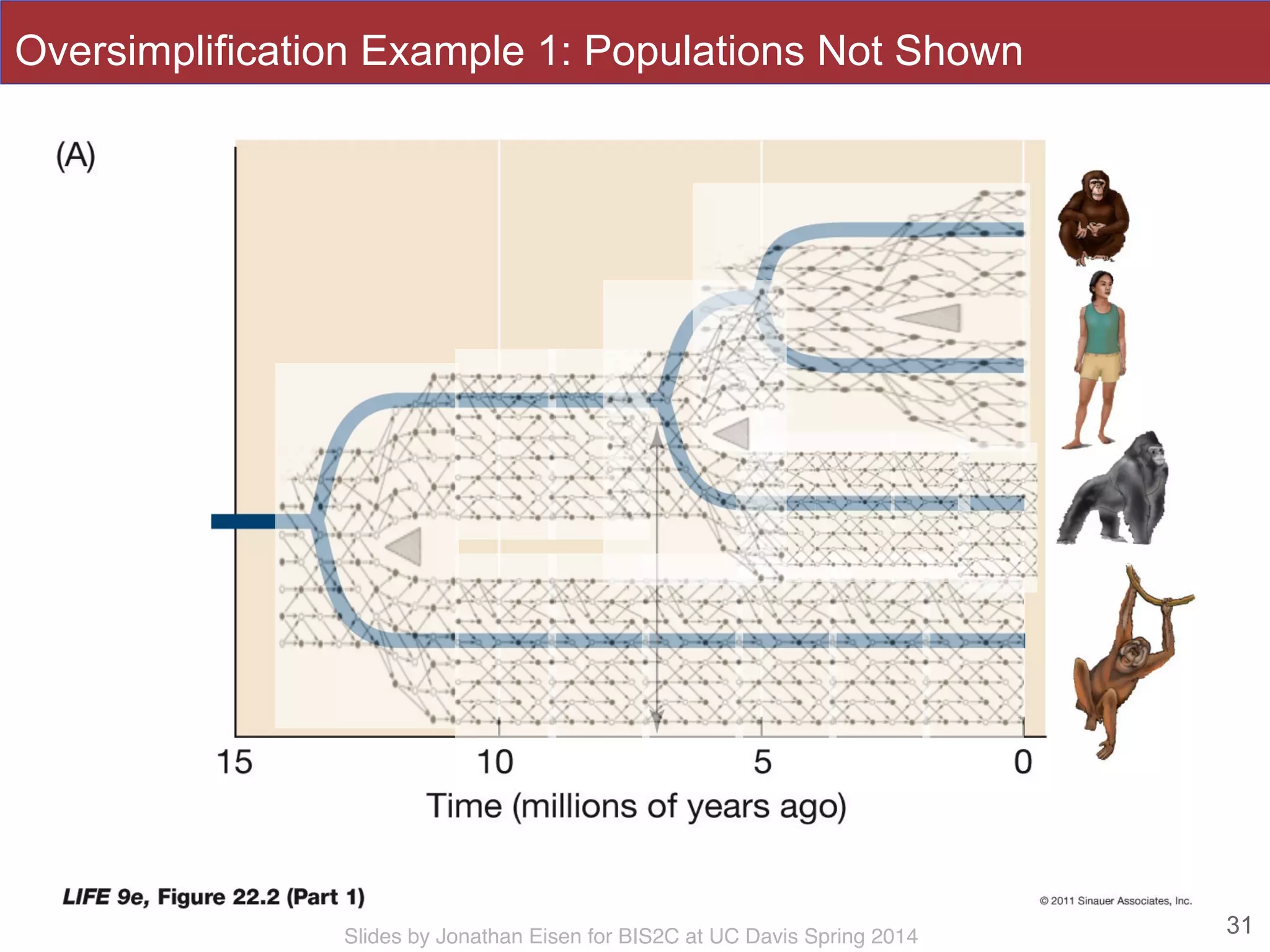 Slides by Jonathan Eisen for BIS2C at UC Davis Spring 2014 31
Oversimplification Example 1: Populations Not Shown
 