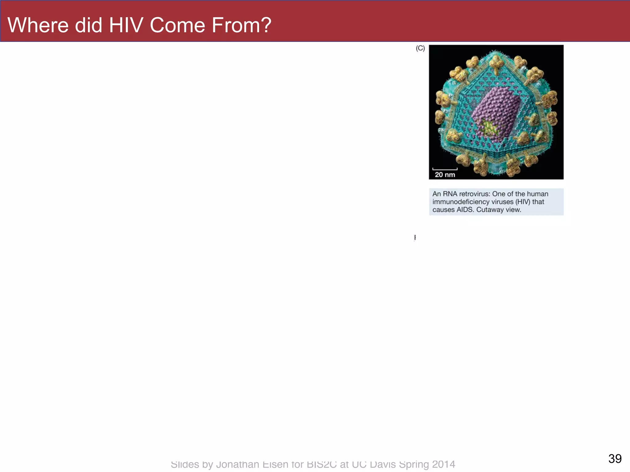 Slides by Jonathan Eisen for BIS2C at UC Davis Spring 2014 39
Where did HIV Come From?
 