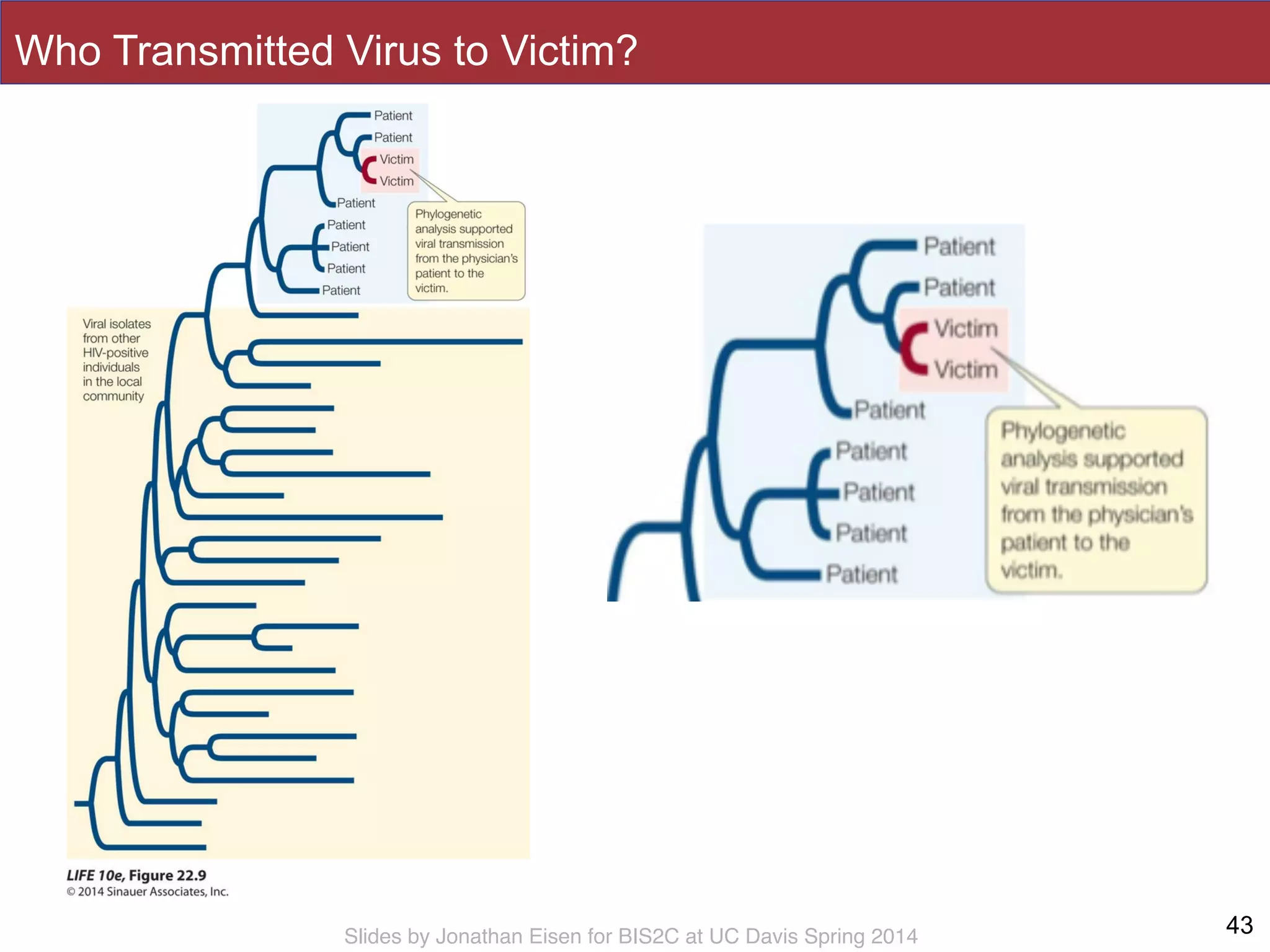 Slides by Jonathan Eisen for BIS2C at UC Davis Spring 2014
Who Transmitted Virus to Victim?
43
 