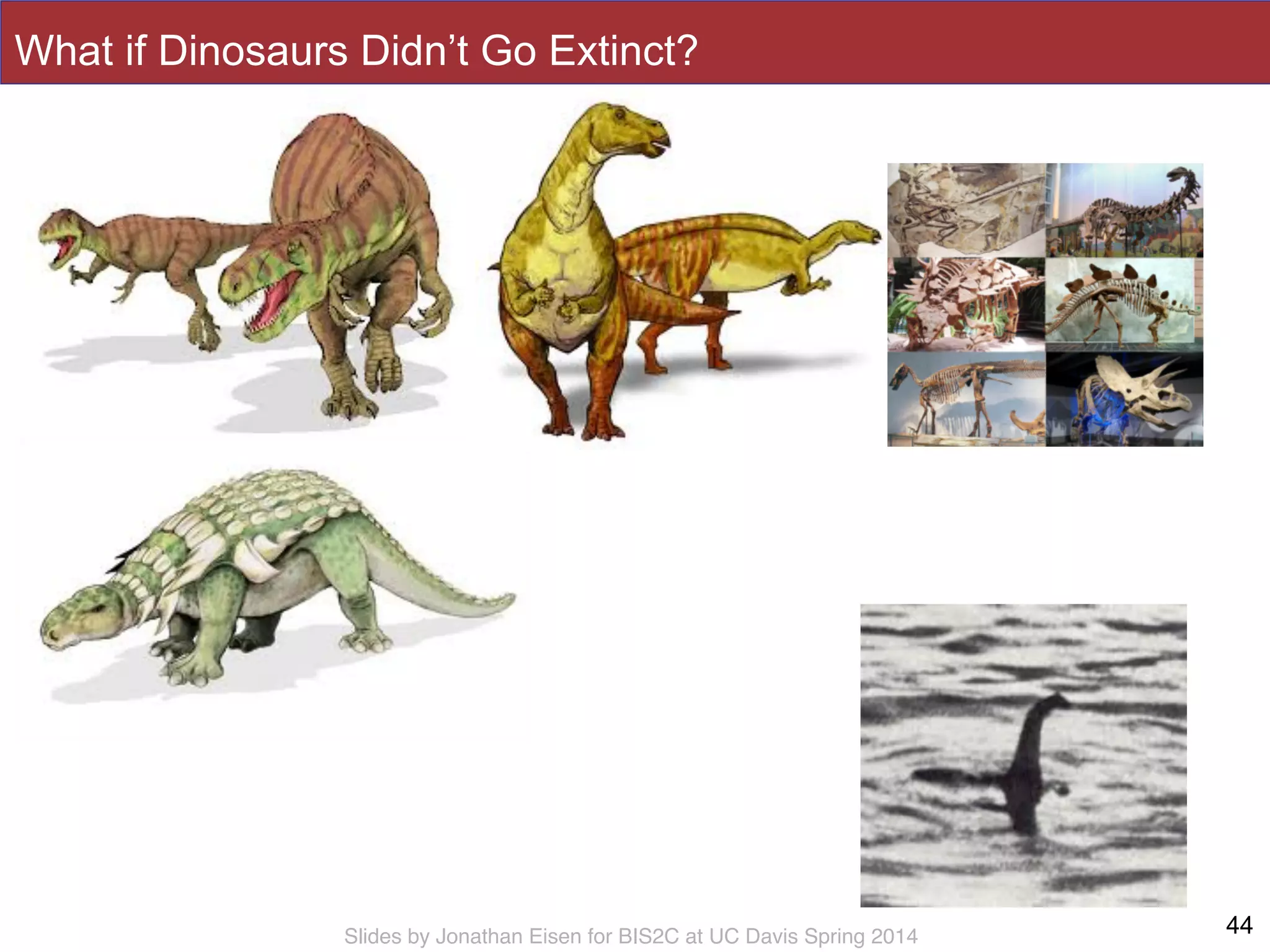 Slides by Jonathan Eisen for BIS2C at UC Davis Spring 2014
What if Dinosaurs Didn’t Go Extinct?
44
 