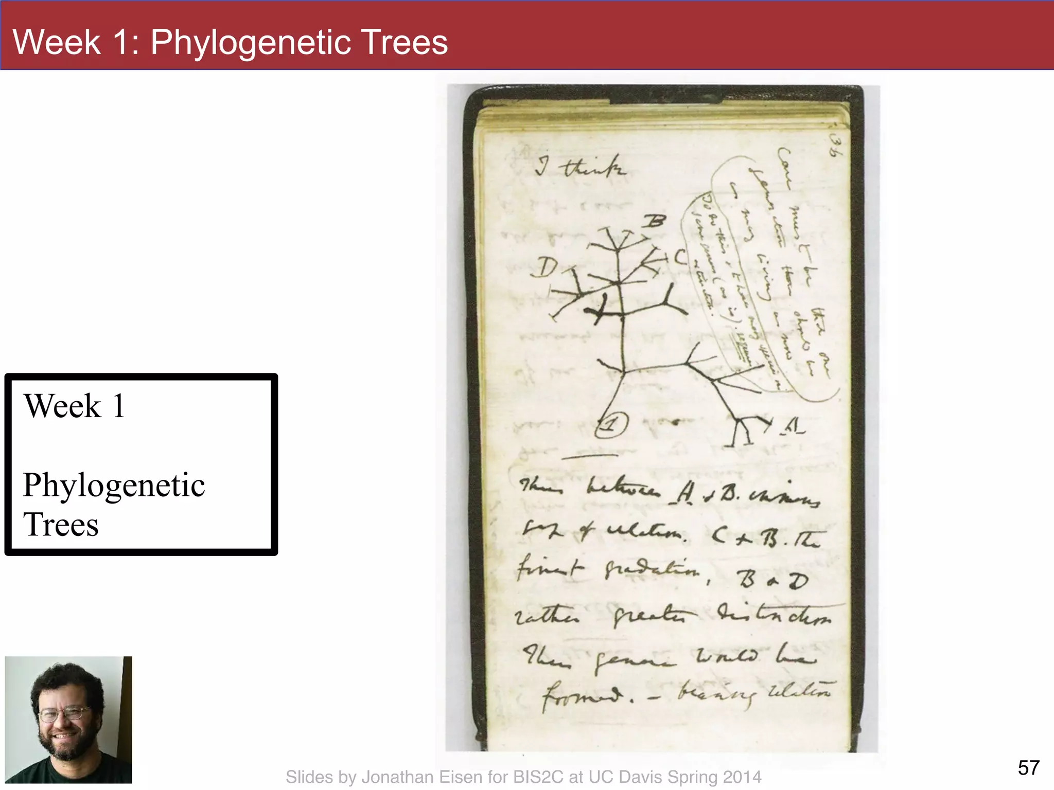 Slides by Jonathan Eisen for BIS2C at UC Davis Spring 2014 57
Week 1
!
Phylogenetic
Trees
Week 1: Phylogenetic Trees
 