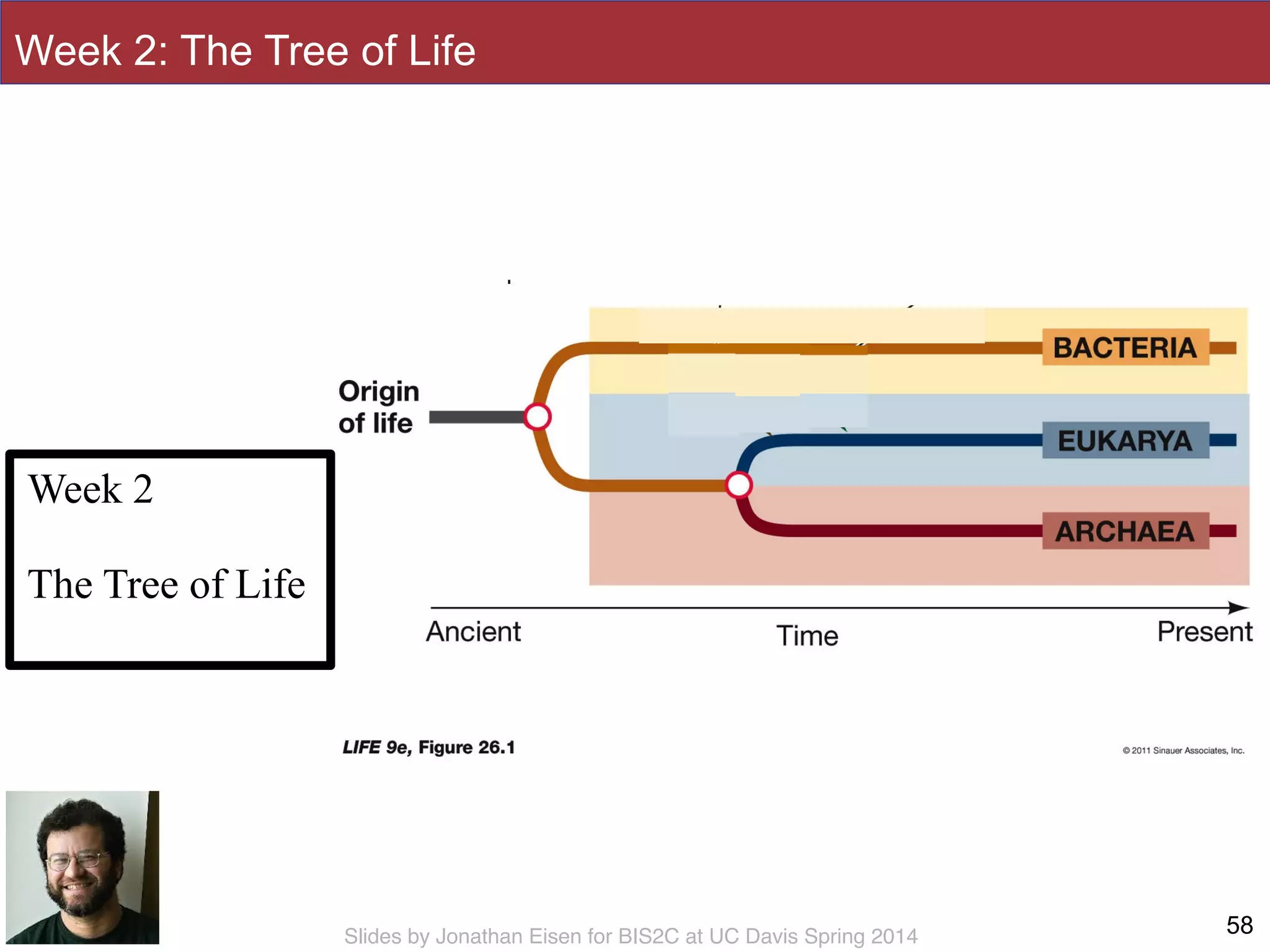 Slides by Jonathan Eisen for BIS2C at UC Davis Spring 2014 58
Week 2
!
The Tree of Life
Week 2: The Tree of Life
 