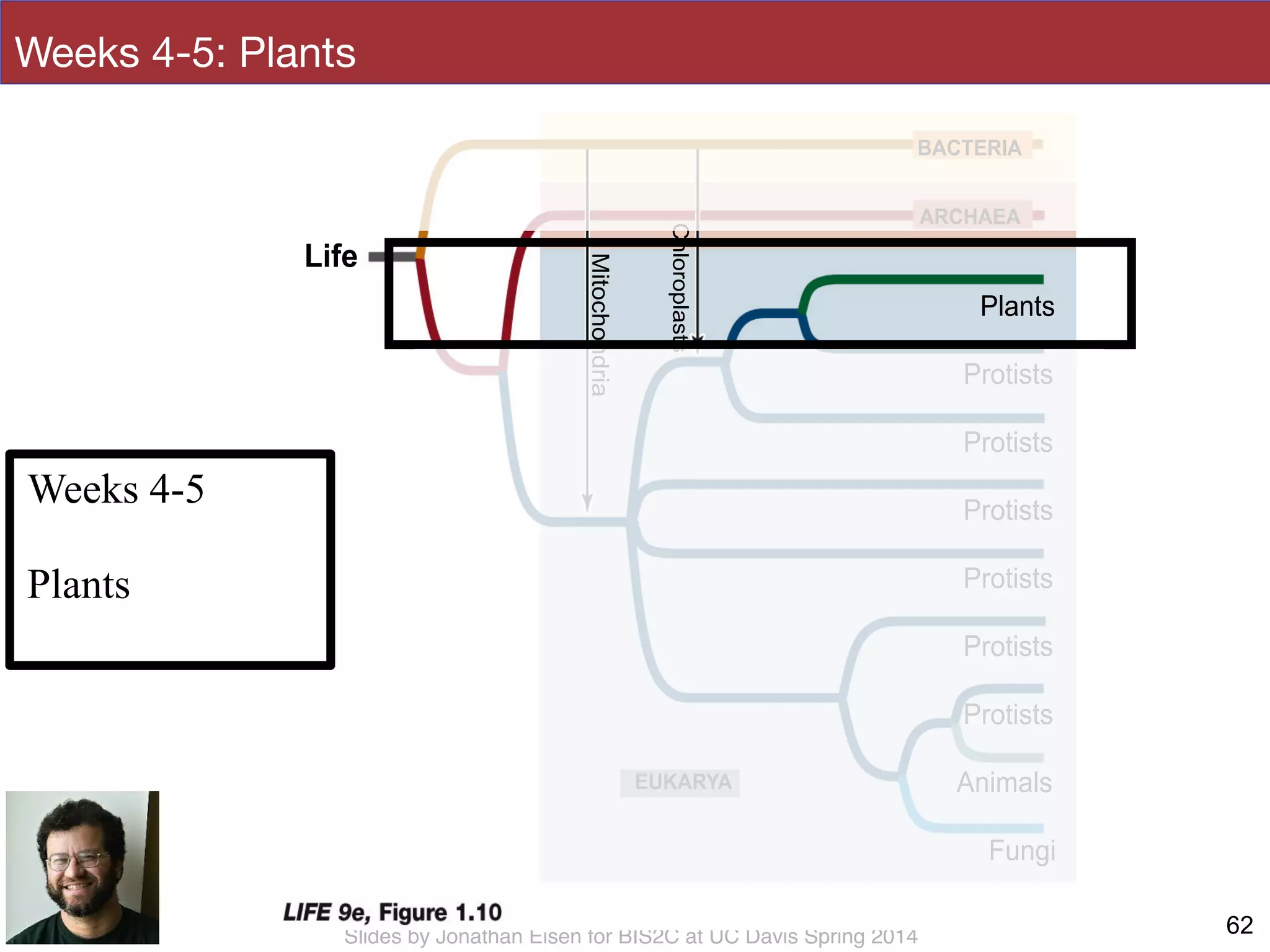 Slides by Jonathan Eisen for BIS2C at UC Davis Spring 2014
Weeks 4-5: Plants
62
Protists
BACTERIA
ARCHAEA
EUKARYA
Mitochondria
Chloroplasts
Life
Plants
Protists
Protists
Protists
Protists
Protists
Fungi
Animals
Weeks 4-5
!
Plants
 