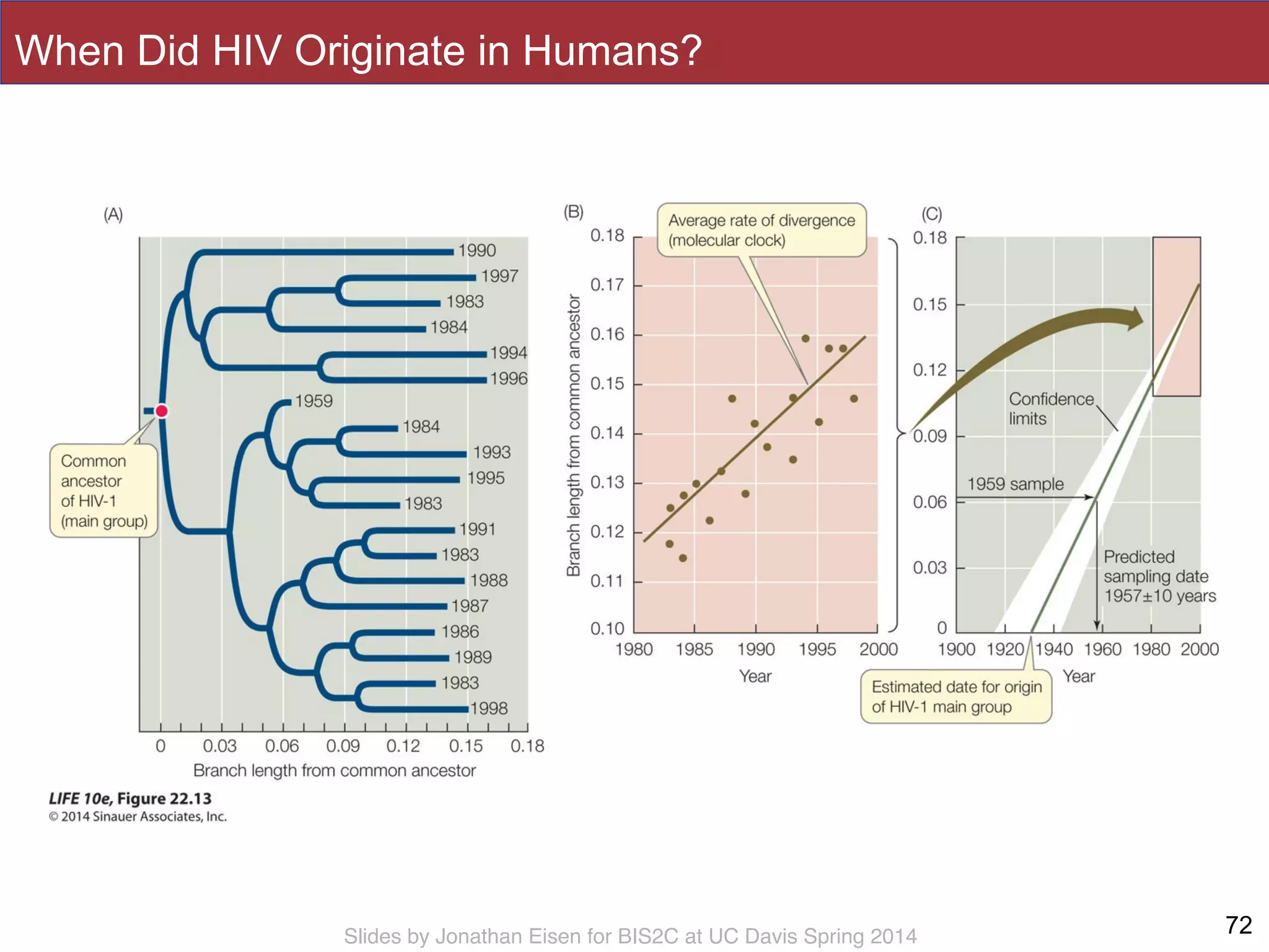 Slides by Jonathan Eisen for BIS2C at UC Davis Spring 2014
When Did HIV Originate in Humans?
72
 