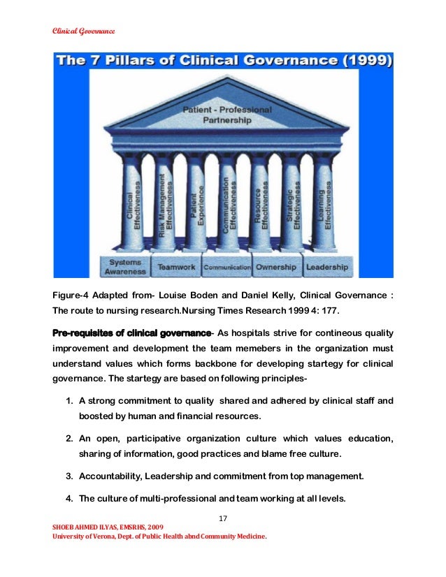 Clinical governance essay