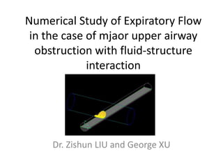 Numerical Study of Expiratory Flow in the case of mjaor upper airway obstruction with fluid-structure interaction,[object Object],Dr. Zishun LIU and George XU,[object Object]