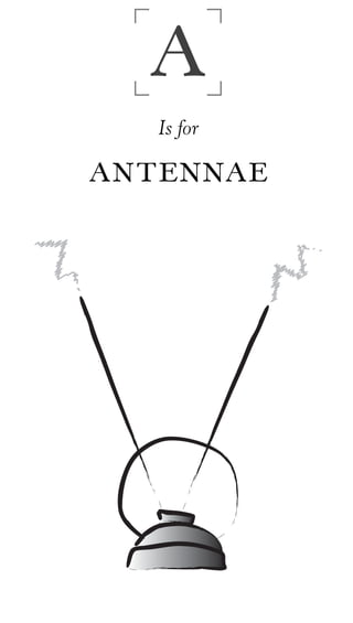 A
   Is for

ANTENNAE
 