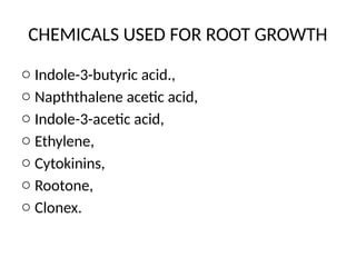CHEMICALS USED FOR ROOT GROWTH
o Indole-3-butyric acid.,
o Napththalene acetic acid,
o Indole-3-acetic acid,
o Ethylene,
o Cytokinins,
o Rootone,
o Clonex.
 