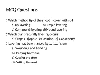 MCQ Questions
1.Which method tip of the shoot is cover with soil
a)Tip layering b) simple layering
c) Compound layering d)Mound layering
2.Which plant naturally layering occurs
a) Grapes b)Apple c) Jasmine d) Gooseberry
3.Layering may be enhanced by .........of stem
a) Wounding and Bending
b) Treating hormone
c) Cutting the stem
d) Cutting the root
 