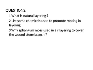 QUESTIONS:
1.What is natural layering ?
2.List some chemicals used to promote rooting in
layering .
3.Why sphangum moss used in air layering to cover
the wound stem/branch ?
 