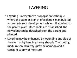 LAYERING
• Layering is a vegetative propagation technique
where the stem or branch of a plant is manipulated
to promote root development while still attached to
the parent plant. Once roots are established, the
new plant can be detached from the parent and
planted.
• Layering may be enhanced by wounding one side of
the stem or by bending it very sharply. The rooting
medium should always provide aeration and a
constant supply of moisture.
 