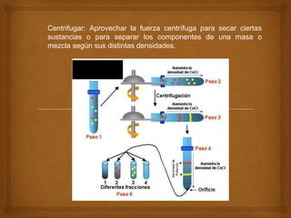 Centrifugar: Aprovechar la fuerza centrífuga para secar ciertas sustancias o para separar los componentes de una masa o mezcla según sus distintas densidades. 