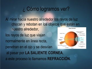 ¿ Cómo logramos ver? Al mirar hacia nuestro alrededor los rayos de luz chocan y rebotan en los objetos que están en nuestro alrededor,  los rayos de luz que viajan  normalmente en linea recta,  penetran en el ojo y se desvían   al pasar por  LA SALIENTE CORNEA ,  a este proceso lo llamamos  REFRACCIÓN.   