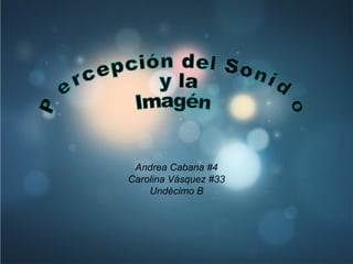Andrea Cabana #4 Carolina Vásquez #33 Undécimo B Percepción del Sonido y la  Imagén  