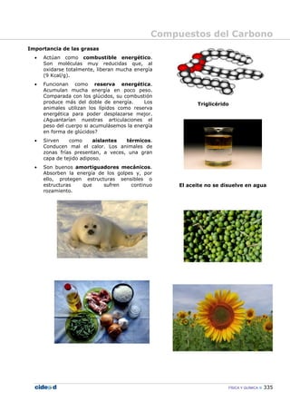 Compuestos del Carbono
FÍSICA Y QUÍMICA 335
Importancia de las grasas
• Actúan como combustible energético.
Son moléculas muy reducidas que, al
oxidarse totalmente, liberan mucha energía
(9 Kcal/g).
• Funcionan como reserva energética.
Acumulan mucha energía en poco peso.
Comparada con los glúcidos, su combustión
produce más del doble de energía. Los
animales utilizan los lípidos como reserva
energética para poder desplazarse mejor.
¿Aguantarían nuestras articulaciones el
peso del cuerpo si acumulásemos la energía
en forma de glúcidos?
• Sirven como aislantes térmicos.
Conducen mal el calor. Los animales de
zonas frías presentan, a veces, una gran
capa de tejido adiposo.
• Son buenos amortiguadores mecánicos.
Absorben la energía de los golpes y, por
ello, protegen estructuras sensibles o
estructuras que sufren continuo
rozamiento.
Triglicérido
El aceite no se disuelve en agua
 