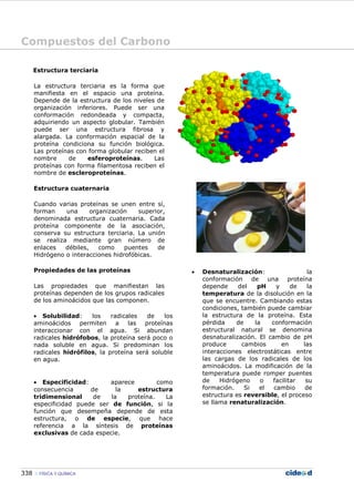 Compuestos del Carbono
338 FÍSICA Y QUÍMICA
Estructura terciaria
La estructura terciaria es la forma que
manifiesta en el espacio una proteína.
Depende de la estructura de los niveles de
organización inferiores. Puede ser una
conformación redondeada y compacta,
adquiriendo un aspecto globular. También
puede ser una estructura fibrosa y
alargada. La conformación espacial de la
proteína condiciona su función biológica.
Las proteínas con forma globular reciben el
nombre de esferoproteínas. Las
proteínas con forma filamentosa reciben el
nombre de escleroproteínas.
Estructura cuaternaria
Cuando varias proteínas se unen entre sí,
forman una organización superior,
denominada estructura cuaternaria. Cada
proteína componente de la asociación,
conserva su estructura terciaria. La unión
se realiza mediante gran número de
enlaces débiles, como puentes de
Hidrógeno o interacciones hidrofóbicas.
Propiedades de las proteínas
Las propiedades que manifiestan las
proteínas dependen de los grupos radicales
de los aminoácidos que las componen.
• Solubilidad: los radicales de los
aminoácidos permiten a las proteínas
interaccionar con el agua. Si abundan
radicales hidrófobos, la proteína será poco o
nada soluble en agua. Si predominan los
radicales hidrófilos, la proteína será soluble
en agua.
• Especificidad: aparece como
consecuencia de la estructura
tridimensional de la proteína. La
especificidad puede ser de función, si la
función que desempeña depende de esta
estructura, o de especie, que hace
referencia a la síntesis de proteínas
exclusivas de cada especie.
• Desnaturalización: la
conformación de una proteína
depende del pH y de la
temperatura de la disolución en la
que se encuentre. Cambiando estas
condiciones, también puede cambiar
la estructura de la proteína. Esta
pérdida de la conformación
estructural natural se denomina
desnaturalización. El cambio de pH
produce cambios en las
interacciones electrostáticas entre
las cargas de los radicales de los
aminoácidos. La modificación de la
temperatura puede romper puentes
de Hidrógeno o facilitar su
formación. Si el cambio de
estructura es reversible, el proceso
se llama renaturalización.
 