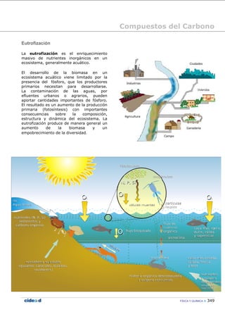 Compuestos del Carbono
FÍSICA Y QUÍMICA 349
Eutrofización
La eutrofización es el enriquecimiento
masivo de nutrientes inorgánicos en un
ecosistema, generalmente acuático.
El desarrollo de la biomasa en un
ecosistema acuático viene limitado por la
presencia del fósforo, que los productores
primarios necesitan para desarrollarse.
La contaminación de las aguas, por
efluentes urbanos o agrarios, pueden
aportar cantidades importantes de fósforo.
El resultado es un aumento de la producción
primaria (fotosíntesis) con importantes
consecuencias sobre la composición,
estructura y dinámica del ecosistema. La
eutrofización produce de manera general un
aumento de la biomasa y un
empobrecimiento de la diversidad.
 