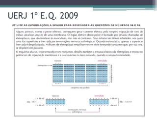 UERJ 1º E.Q. 2009
 