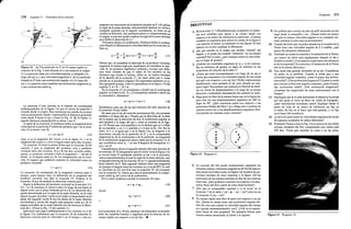 física 1-Resnick Halliday Krane.PDF