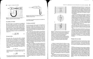 física 1-Resnick Halliday Krane.PDF