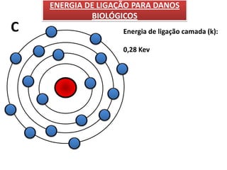 P+
C
ENERGIA DE LIGAÇÃO PARA DANOS
BIOLÓGICOS
Energia de ligação camada (k):
0,28 Kev
 