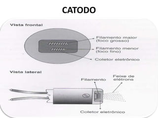 CATODO
 