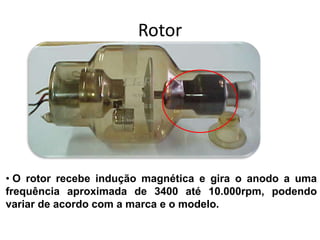 Rotor
• O rotor recebe indução magnética e gira o anodo a uma
frequência aproximada de 3400 até 10.000rpm, podendo
variar de acordo com a marca e o modelo.
 