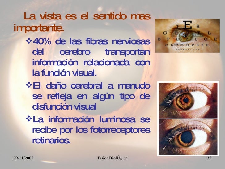 Fisica de la luz, vision y audicion