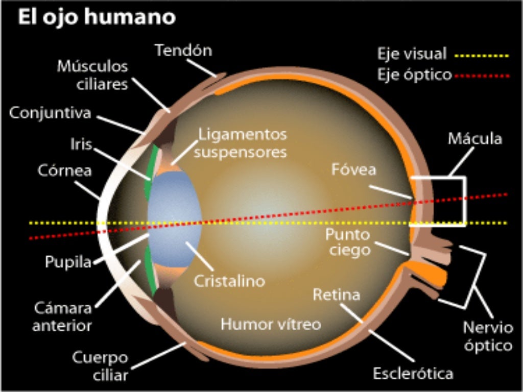 Fisica de la luz, vision y audicion