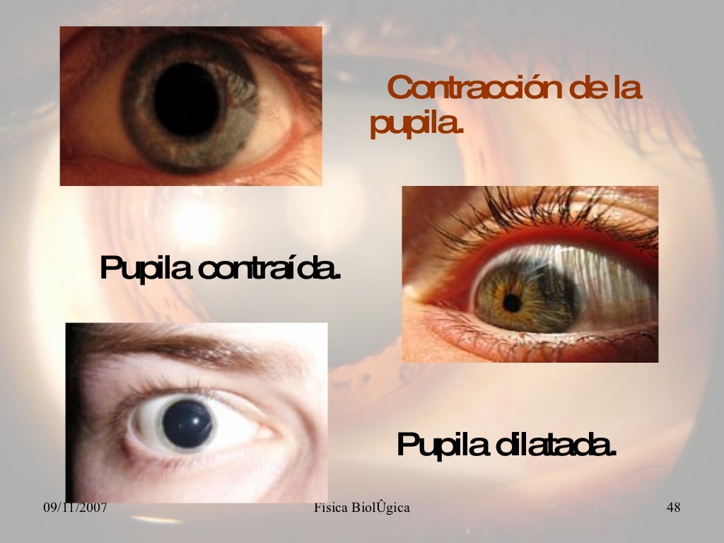 Fisica de la luz, vision y audicion