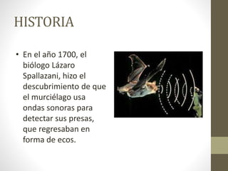HISTORIA
• En el año 1700, el
biólogo Lázaro
Spallazani, hizo el
descubrimiento de que
el murciélago usa
ondas sonoras par...