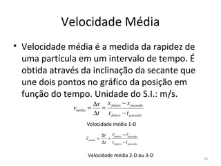 Velocidade Média
• Velocidade média é a medida da rapidez de 
  uma partícula em um intervalo de tempo. É 
  obtida através da inclinação da secante que 
  une dois pontos no gráfico da posição em 
  função do tempo. Unidade do S.I.: m/s.
                         ∆x x futuro − x passado
              vmédia   =   =
                         ∆t t futuro − t passado
                       Velocidade média 1-D
                                            
                               ∆r r futuro − rpassado
                       vmédia =   =
                                ∆t t futuro − t passado

                        Velocidade média 2-D ou 3-D       14
 