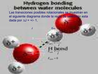 Las transiciones posibles rotacionales se muestran en
el siguiente diagrama donde la regla de selección esta
dada por J = +/- 1,

               J              EKRi
                                     6 2
                          EKR 3
               3                      I
                                     3 2
                          EKR 2
               2                       I
               1
                                     2
                          EKR1
               0                      I
                          EKR 0      0
 