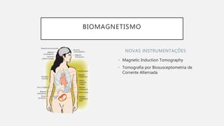• Magnetic Induction Tomography
• Tomografia por Biosusceptometria de
Corrente Alternada
NOVAS INSTRUMENTAÇÕES
BIOMAGNETISMO
 