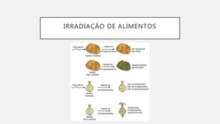 IRRADIAÇÃO DE ALIMENTOS
 