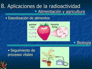 8. Aplicaciones de la radioactividad
                        Alimentación y agricultura
  • Esterilización de alimentos




                                               Biología
   • Seguimiento de
   procesos vitales
 