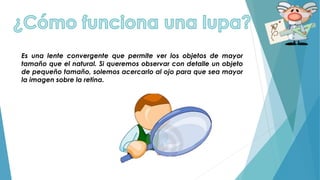 Es una lente convergente que permite ver los objetos de mayor
tamaño que el natural. Si queremos observar con detalle un objeto
de pequeño tamaño, solemos acercarlo al ojo para que sea mayor
la imagen sobre la retina.
 