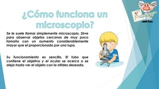 Se le suele llamar simplemente microscopio. Sirve
para observar objetos cercanos de muy poco
tamaño con un aumento considerablemente
mayor que el proporcionado por una lupa.
Su funcionamiento es sencillo. El tubo que
contiene el objetivo y el ocular se acerca o se
aleja hasta ver el objeto con la nitidez deseada.
 