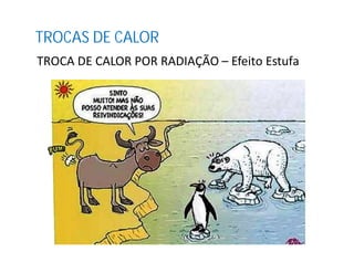 TROCA DE CALOR POR RADIAÇÃO – Efeito Estufa
TROCAS DE CALOR
 