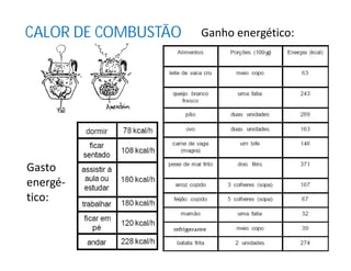 CALOR DE COMBUSTÃO Ganho energético:
Gasto
energé-
tico:
 