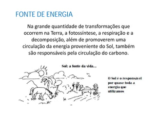 Na grande quantidade de transformações que
ocorrem na Terra, a fotossíntese, a respiração e a
decomposição, além de promoverem uma
circulação da energia proveniente do Sol, também
são responsáveis pela circulação do carbono.
FONTE DE ENERGIA
 