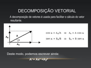 DECOMPOSIÇÃO VETORIAL
 A decomposição de vetores é usada para facilitar o cálculo do vetor
 resultante.




Deste modo, podemos escrever ainda:
                  A2 = Ax2 +Ay2
 