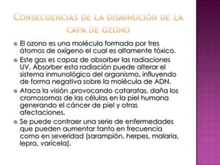 Consecuencias de la disminución de la capa de ozonoEl ozono es una molécula formada por tres átomos de oxígeno el cual es altamente tóxico.Este gas es capaz de absorber las radiaciones UV. Absorber esta radiación puede alterar el sistema inmunológico del organismo, influyendo de forma negativa sobre la molécula de ADN. Ataca la visión ,provocando cataratas, daña los cromosomas de las células en la piel humana generando el cáncer de piel y otras afectaciones. Se puede contraer una serie de enfermedades que pueden aumentar tanto en frecuencia como en severidad (sarampión, herpes, malaria, lepra, varicela).